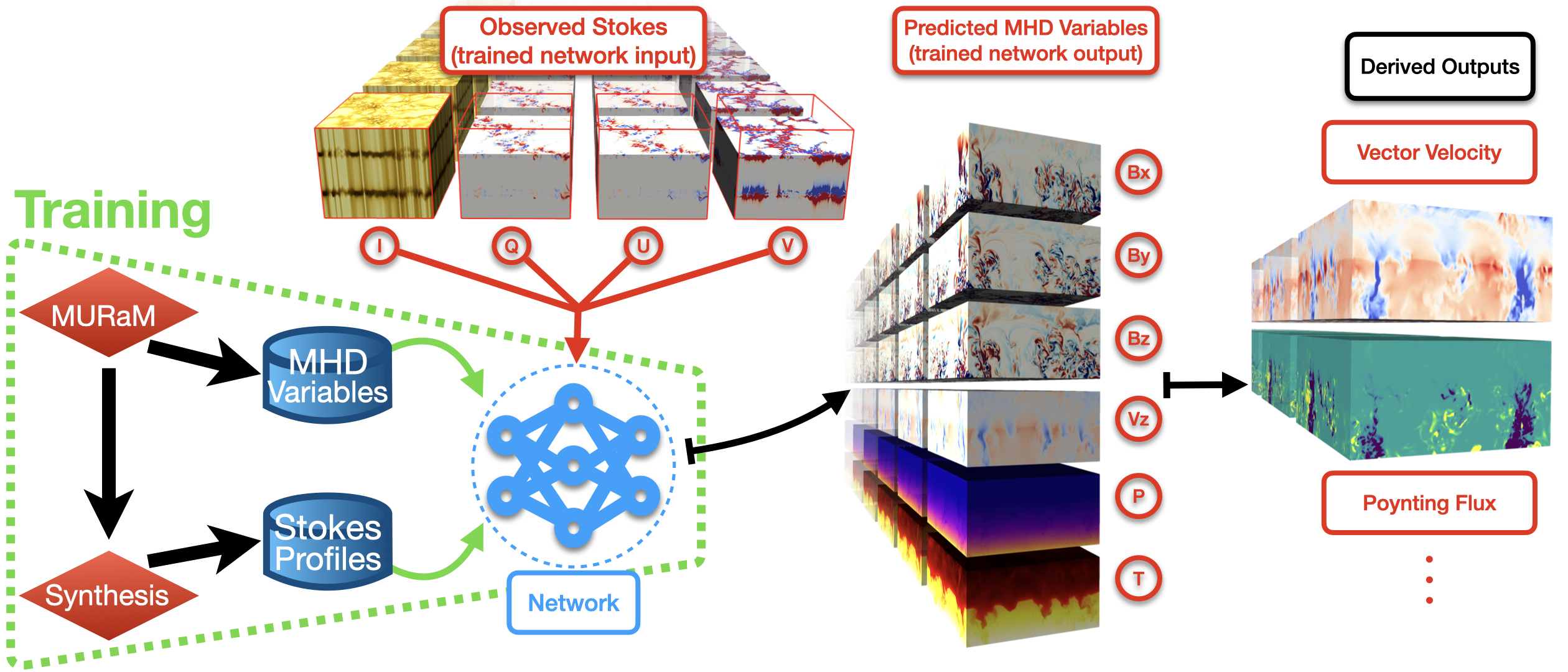 Illustration of the SPIn4D model workflow